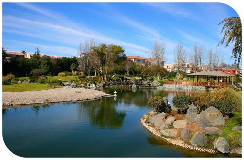 a view of a pond in a park at Acogedor Departamento Central con Piscina, Estacionamiento Privado y Más in La Serena