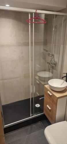 a bathroom with a shower with a sink and a toilet at Studio cœur de station in Isola 2000