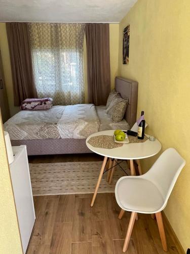 een kleine kamer met een bed en een tafel en stoel bij Studio apartmani Anastasija in Žabljak