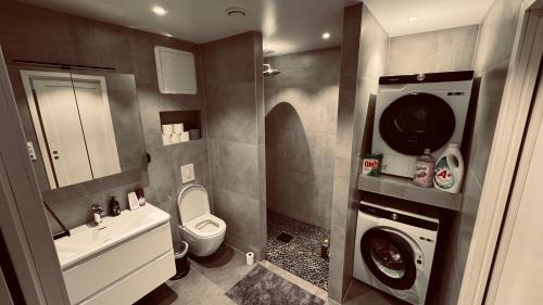 uma casa de banho com um lavatório e uma máquina de lavar roupa em Rudnic villa s Ap1 em Syfteland