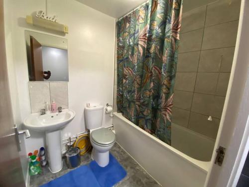 een badkamer met een wastafel, een toilet en een douche bij Entire 1 bedroom city house in Londen