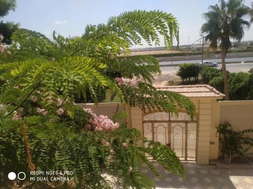 a house with a gate and some plants at VillaJouda in Alexandria