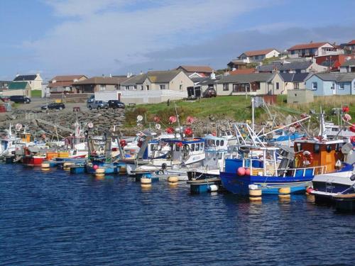 Un montón de barcos están atracados en el agua. en Da Peerie Hoose, en Hamnavoe