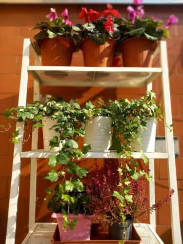 a white shelf with potted plants on it at Vito's Room in Cormano
