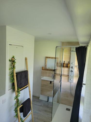 La salle de bains est pourvue d'une douche en verre et d'un bureau. dans l'établissement Appartement T1bis Saint Herblain, à Saint-Herblain