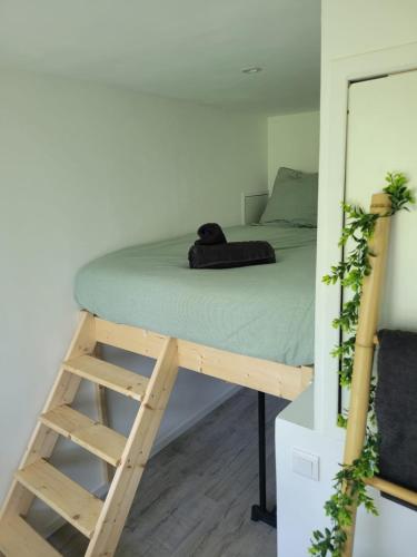 a bed in a room with a ladder next to a bed at Appartement T1bis Saint Herblain in Saint-Herblain