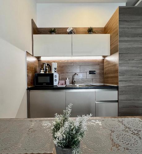a kitchen with a sink and a microwave at Vista Kopaonik Milmari Studio P22 in Kopaonik