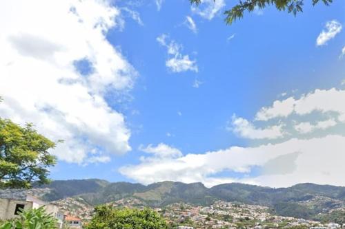 Gallery image of Gemini Apartment by AM in Funchal