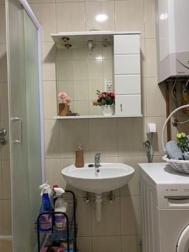 a bathroom with a sink and a mirror at Stan na dan Pepi Lukavica, Sarajevo in Donje Mladice