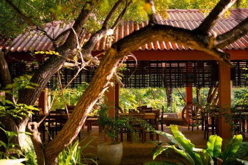 an outside view of a restaurant with a tree at Safari Lodge Yala in Kataragama