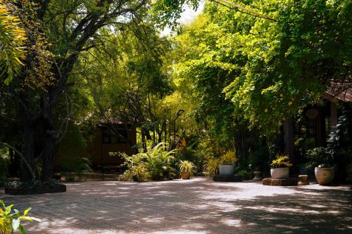 a garden with a lot of plants and trees at Safari Lodge Yala in Kataragama