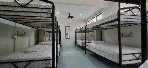 a room with four bunk beds in a building at Casa Pura Vida Surf Hostel - Tamarindo Costa Rica in Tamarindo