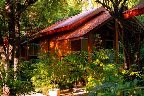 a house in the middle of a forest at Safari Lodge Yala in Kataragama