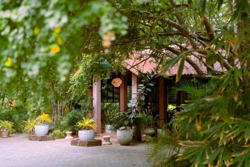 a group of potted plants in front of a building at Safari Lodge Yala in Kataragama