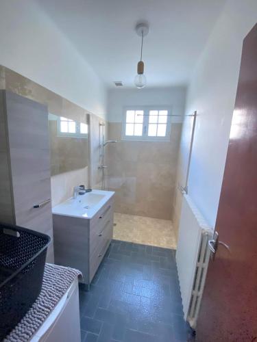 une salle de bain avec un lavabo, une douche et des toilettes dans l'établissement Villa Gesinacris avec piscine, à Camaret-sur-Aigues