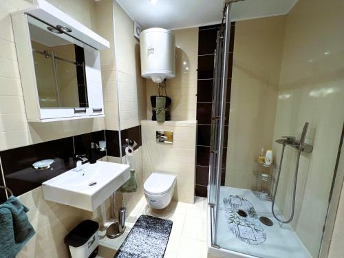 uma casa de banho com um WC, um lavatório e um chuveiro em Apartman Zen em Zlatibor