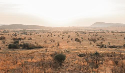 an open field with trees and mountains in the distance at Lush Private Game Lodge in Pilanesberg