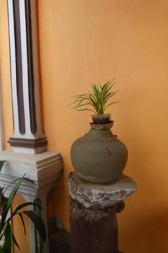 a plant in a pot sitting on a stone pillar at Khamphouy Guesthouse in Champasak