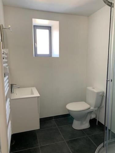 une salle de bain avec toilettes, lavabo et fenêtre dans l'établissement La chambre de Zé, à Tournus