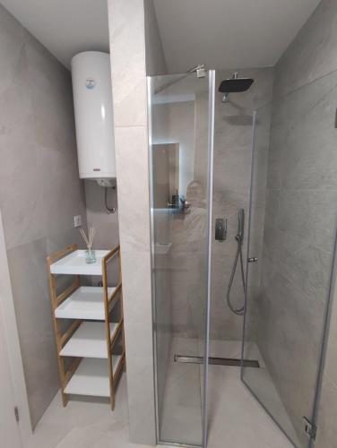 une douche avec une porte vitrée dans une salle de bain dans l'établissement Apartman Bojic, à Palisat
