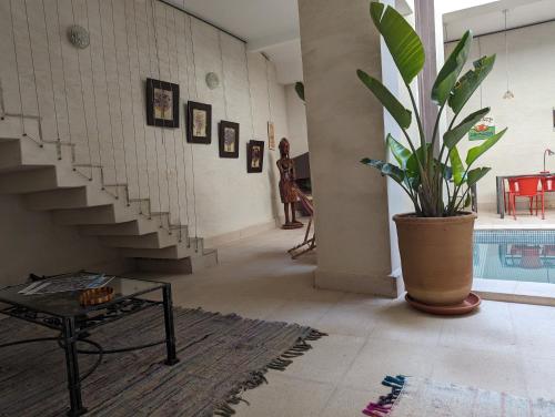 a living room with a potted plant and a pool at Dar d'Art in Marrakech