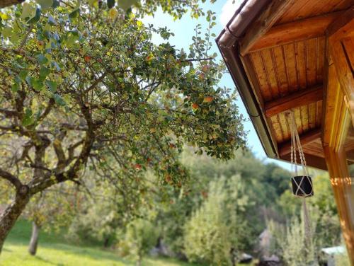 Zahrada ubytování Nature Hideaway