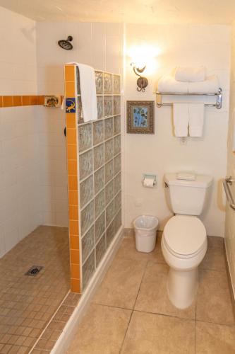 a bathroom with a toilet and a shower at Old Ranch Inn - Adults Only 21 & Up in Palm Springs