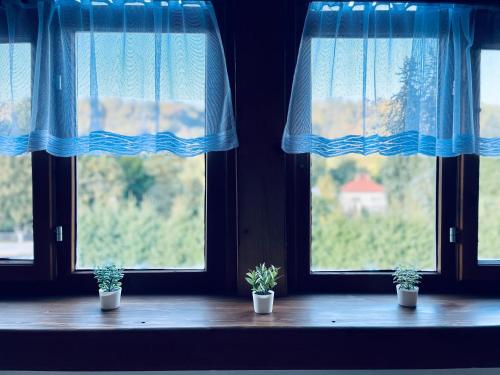 three potted plants sitting on a window sill with blue curtains at Hvězdonice Hostinec U Kuželků in Hvězdonice