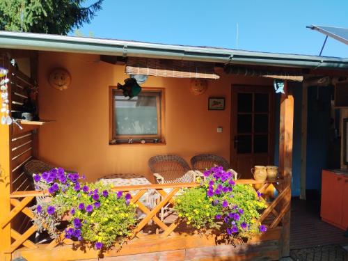 a porch of a house with purple flowers at Penzion Slunce nad Vinným Sklepem in Moravská Nová Ves