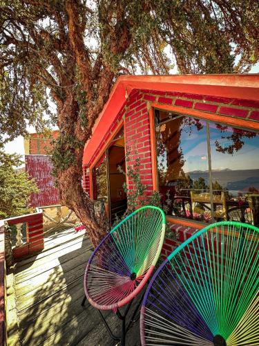 two purple and green chairs sitting next to a tree at Hostal Sol y Lago in Copacabana