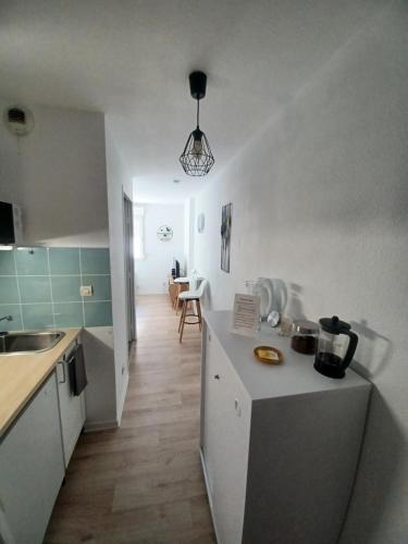 une cuisine avec un évier et un plan de travail dans l'établissement Appartement 2 personnes Lyon Sans Souci, à Lyon