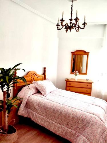 1 dormitorio con cama, espejo y planta en Libertad, 1, en Zamora