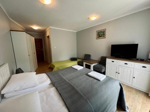 een slaapkamer met een bed en een flatscreen-tv bij Noclegi Solina Sunrise in Solina