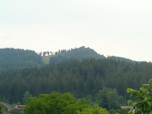 a view of a mountain with trees in the background at Drei Tannen in Bodenmais