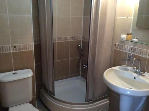 a bathroom with a shower and a toilet and a sink at Ilıcak Hotel in Istanbul