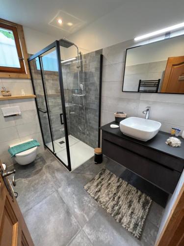 a bathroom with a sink and a shower at Chalet coup de coeur in Passy