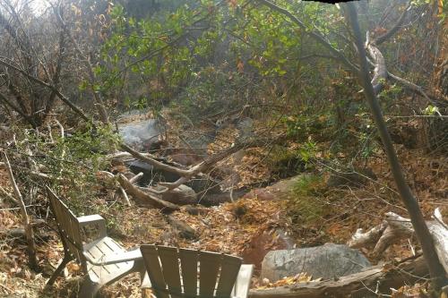 a couple of chairs sitting in the woods at Shirley Creek Retreat: a Mountain Oasis in Wofford Heights