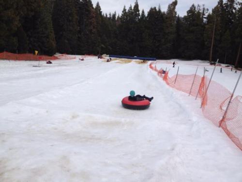a person riding a red sled down a snow covered slope at Shirley Creek Retreat: a Mountain Oasis in Wofford Heights