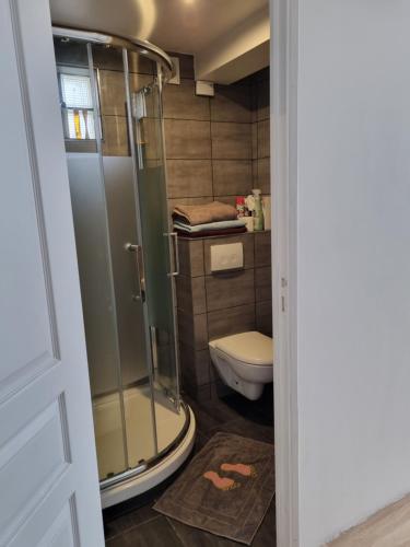 a bathroom with a shower and a toilet at Ravissant Studio avec parking privé et jardin in Rueil-Malmaison