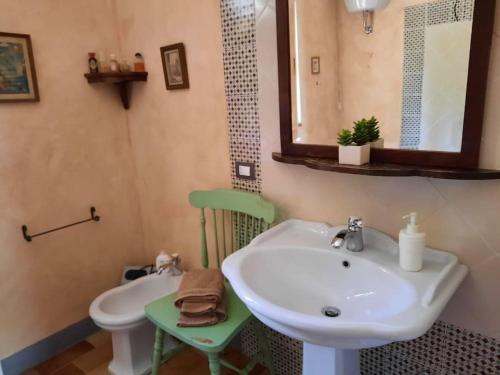 een badkamer met een wastafel, een toilet en een spiegel bij Countryhouse Maratea coast Pollino Park in Nemoli