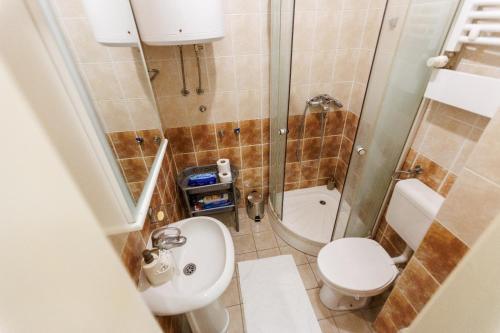 La petite salle de bains est pourvue d'une douche et de toilettes. dans l'établissement Apartman 369, à Subotica