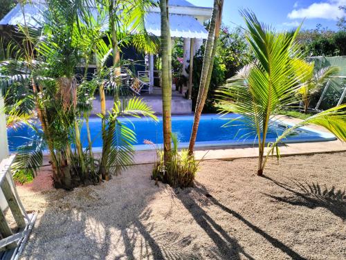 a swimming pool with palm trees in front of a house at Chambre comte de Saint-Exupéry in Cap Malheureux