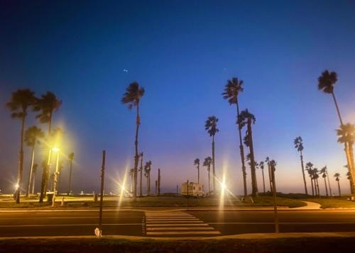 a street with palm trees and lights at night at Beachfront Paradise in Port Hueneme