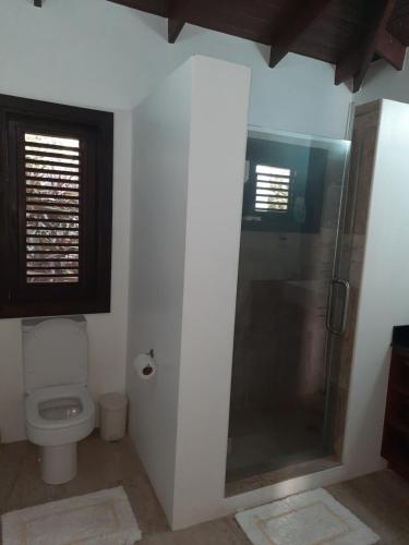 uma casa de banho com um WC e uma cabina de duche em vidro. em Moringa Villa Master Suite em Soufrière