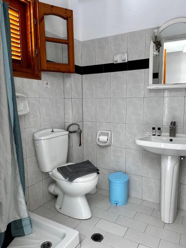 a bathroom with a toilet and a sink at Villa Spyros in Syvota