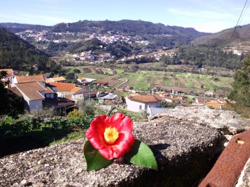 Uma vista da montanha tirada da casa de temporada 