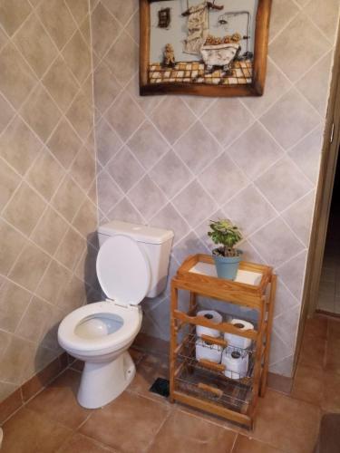 a bathroom with a toilet and a plant on a shelf at La casa de Angelita in Trelew