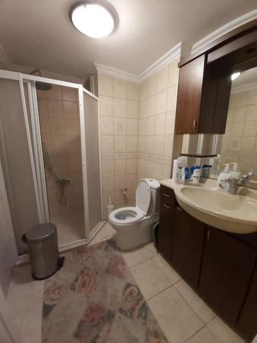 y baño con aseo, lavabo y ducha. en Comfy home in Nisantasi, en Estambul