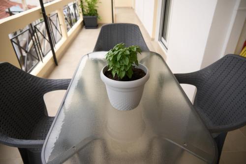 a potted plant sitting on a glass table with chairs at Georgia's Comfort City Center apartment in Tripolis
