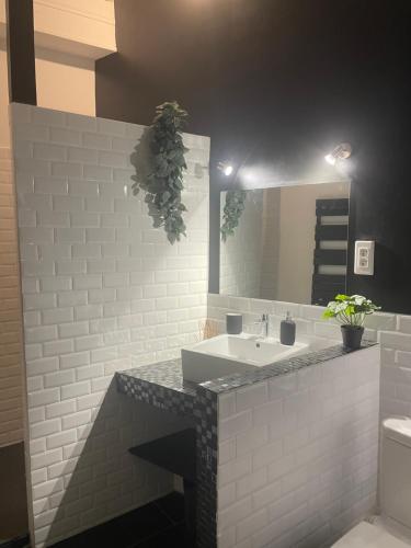 a bathroom with a white sink and a mirror at Appartement rénové de caractère in Saint-Rémy-de-Provence